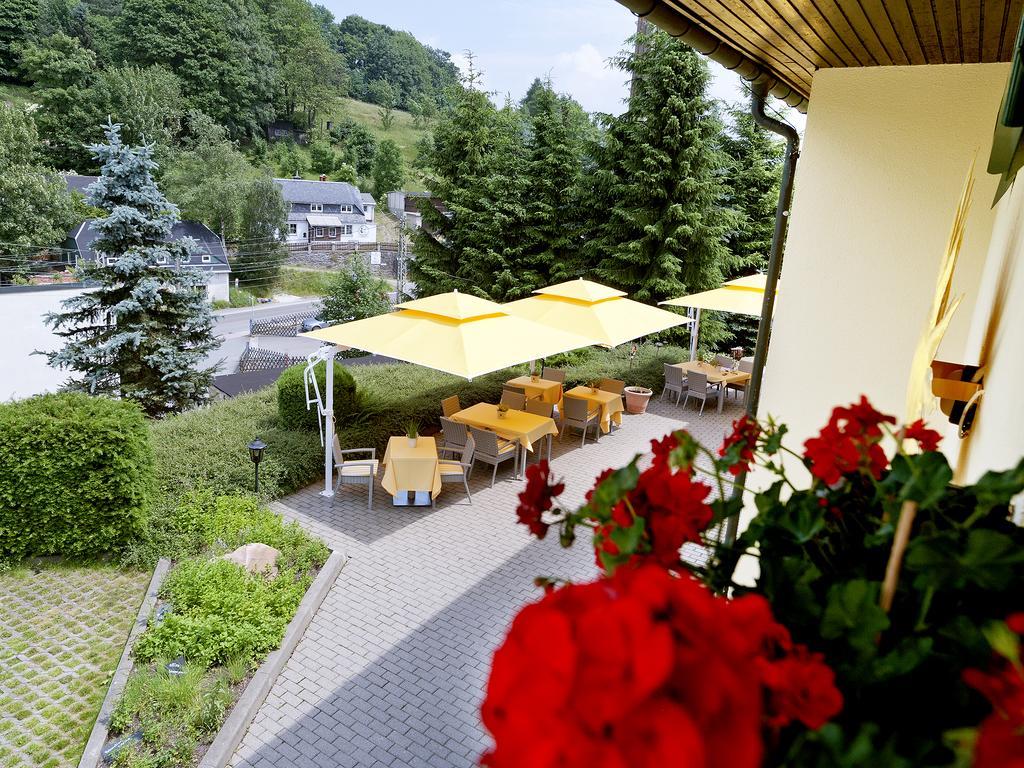 Hotel Sonne Seiffen Eksteriør billede