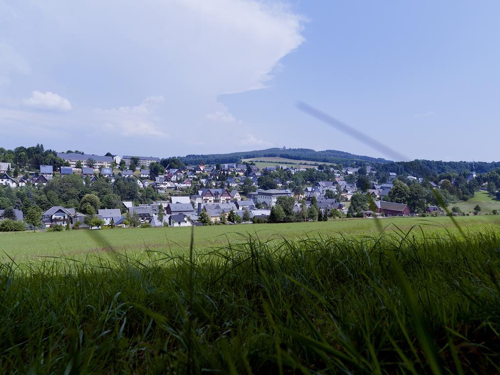 Hotel Sonne Seiffen Eksteriør billede
