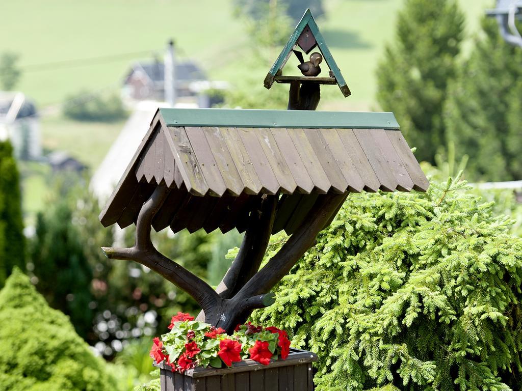 Hotel Sonne Seiffen Eksteriør billede