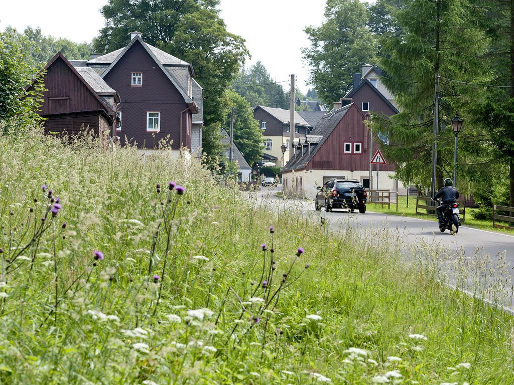 Hotel Sonne Seiffen Eksteriør billede