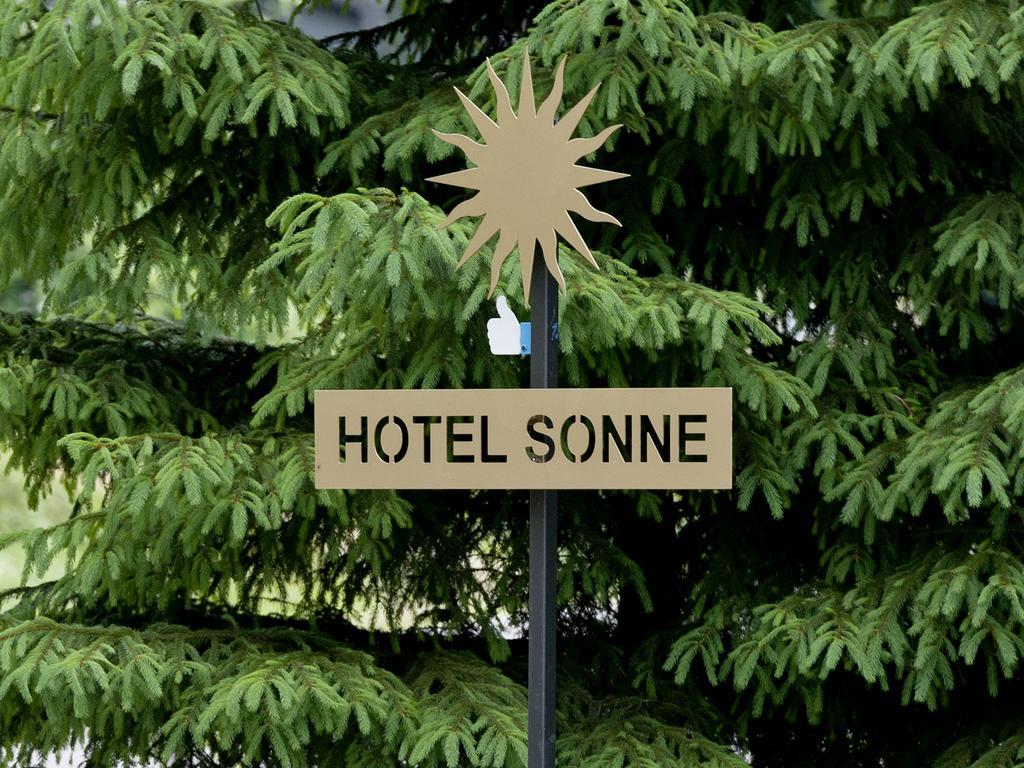 Hotel Sonne Seiffen Eksteriør billede