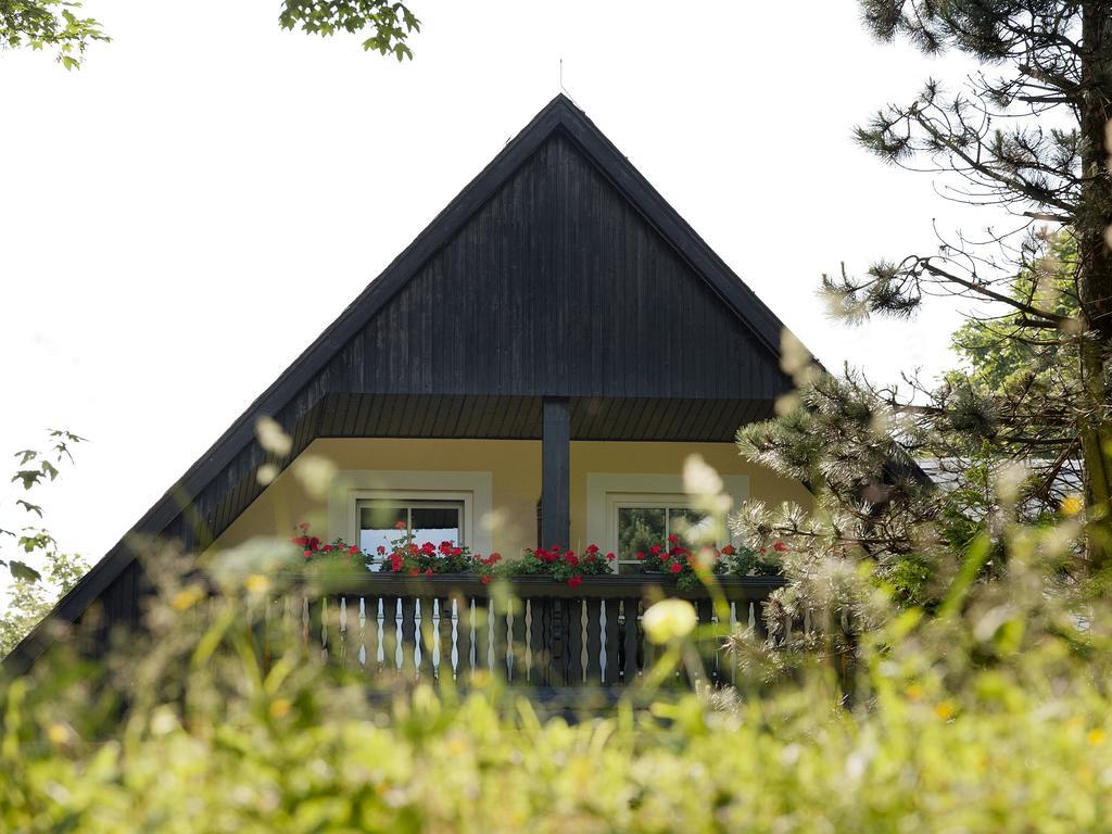 Hotel Sonne Seiffen Eksteriør billede