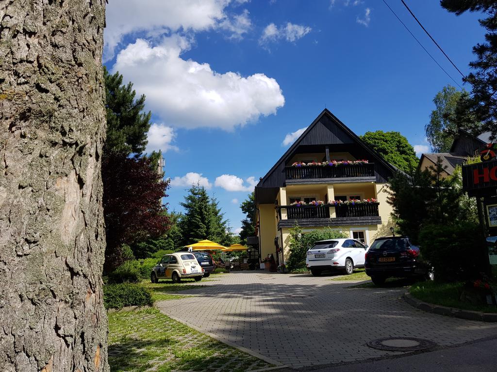 Hotel Sonne Seiffen Eksteriør billede