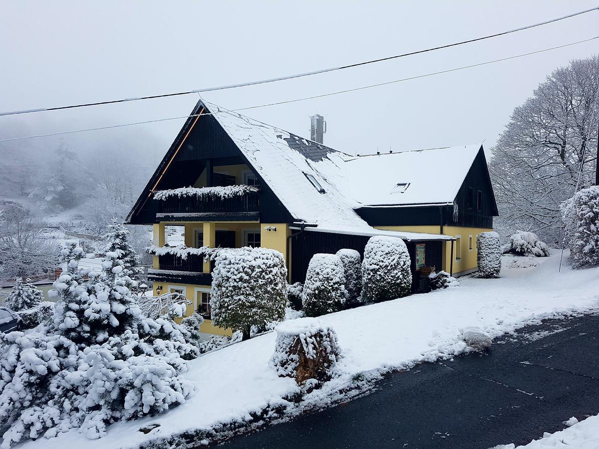 Hotel Sonne Seiffen Eksteriør billede